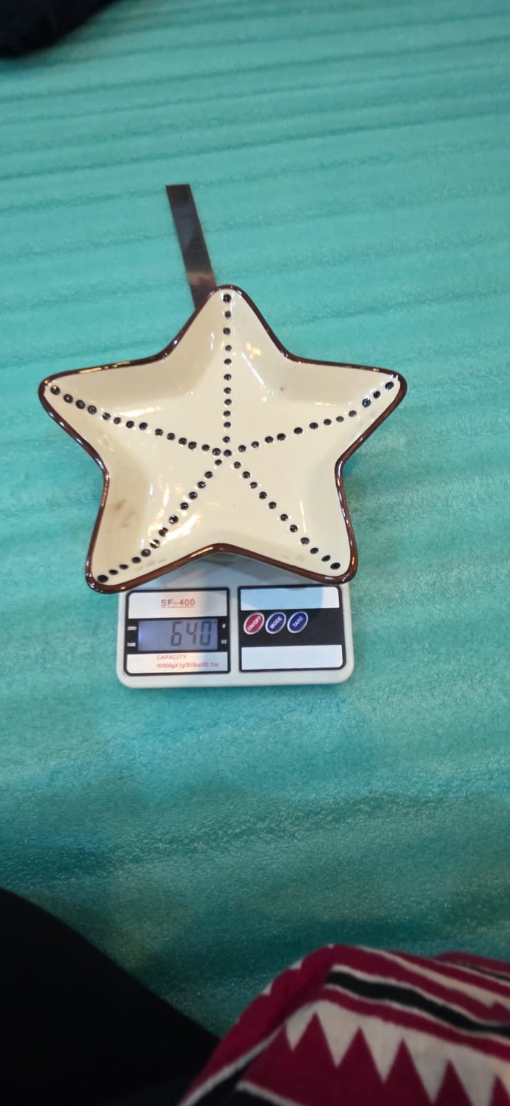 "Asteroidea" Starfish Ceramic Statement Platter
