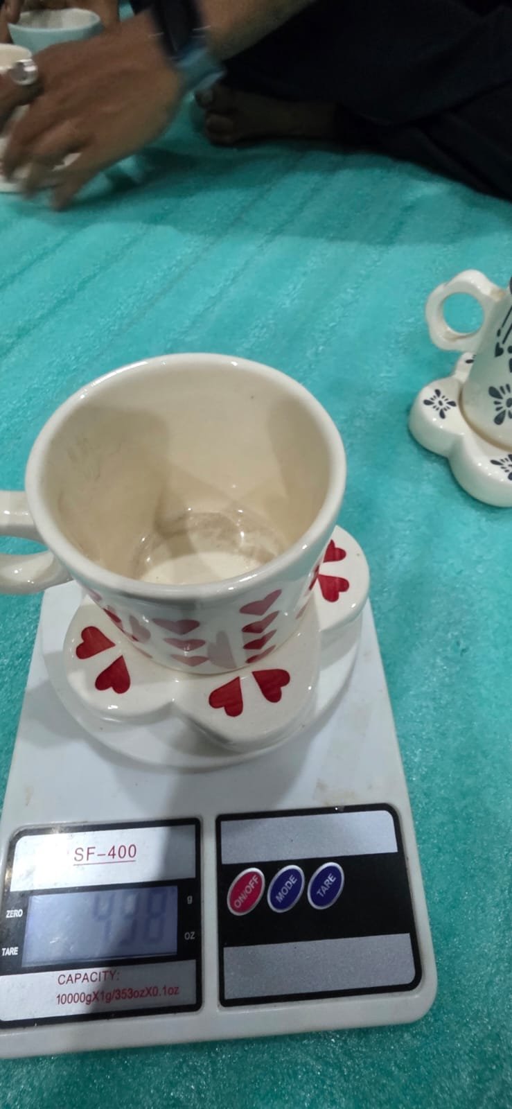"Flora" Scalloped Studio Cup & Saucer Set hover