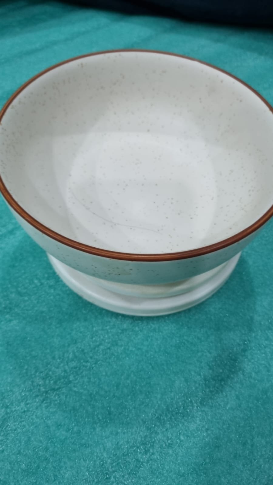 "Ivory Speckle" Mid-Sized Serving Bowl