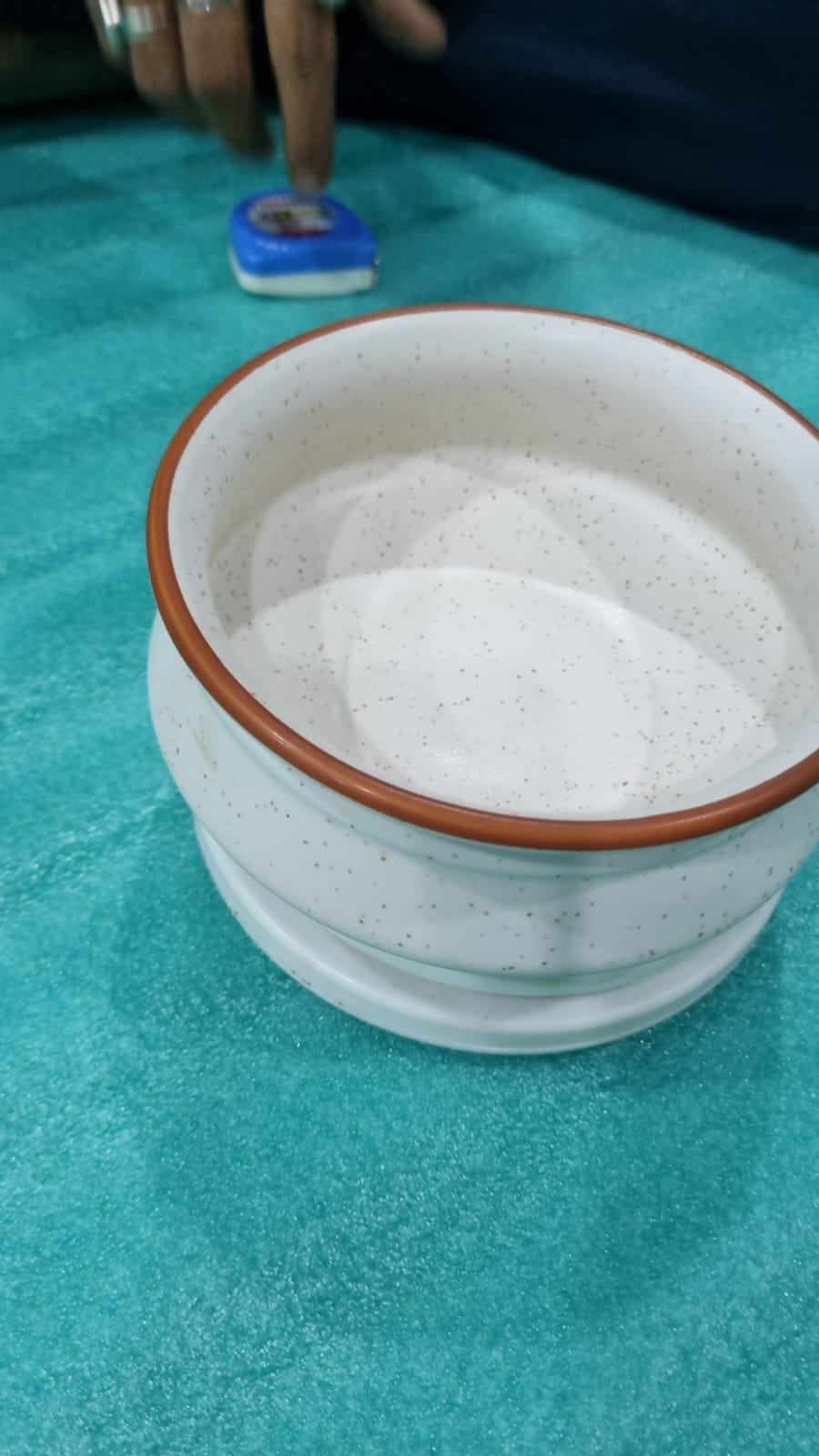"Ivory Speckle" Compact Serving Bowl