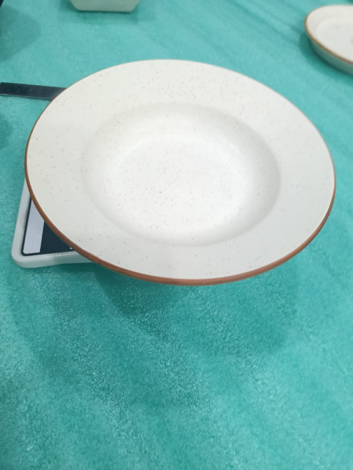 "Speckled Shore" Artisan Pasta Bowl