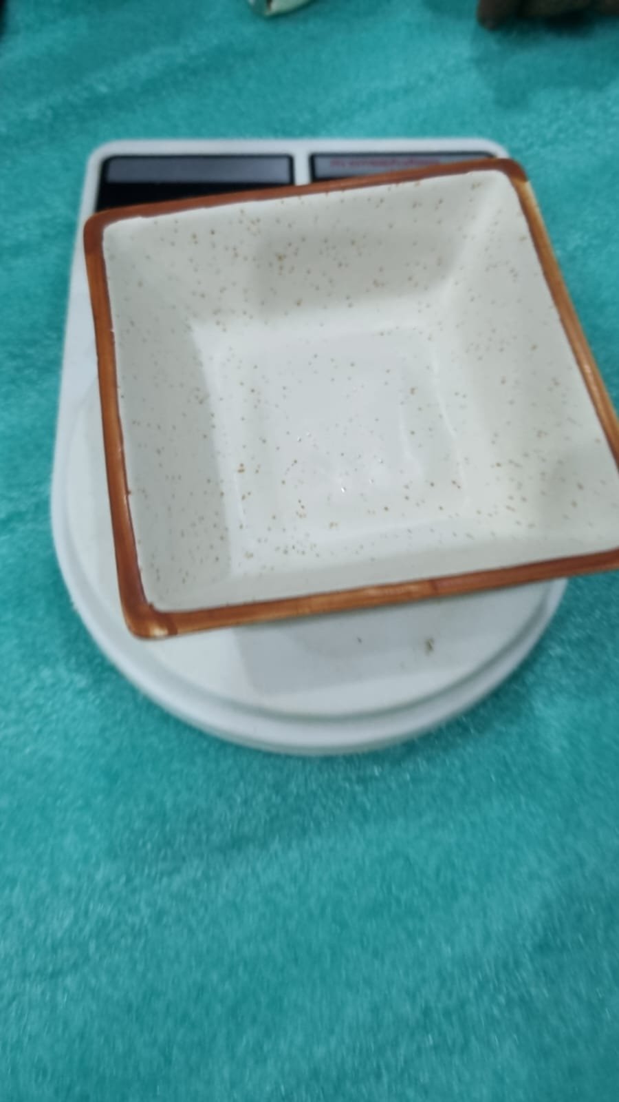 "Ivory Speckle" Square Serving Bowl
