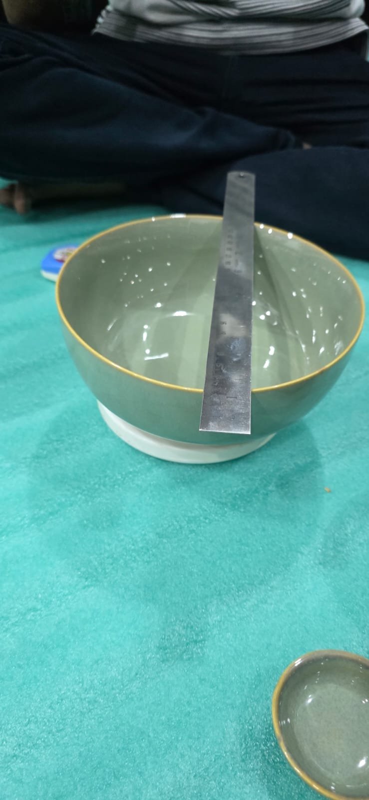 "Sage Minimalist" Serving Bowl