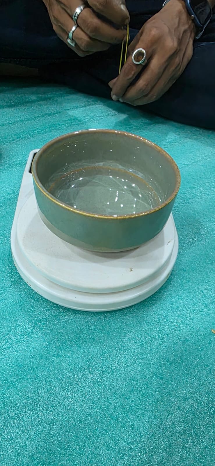 "Sage Minimalist" Soup Bowl